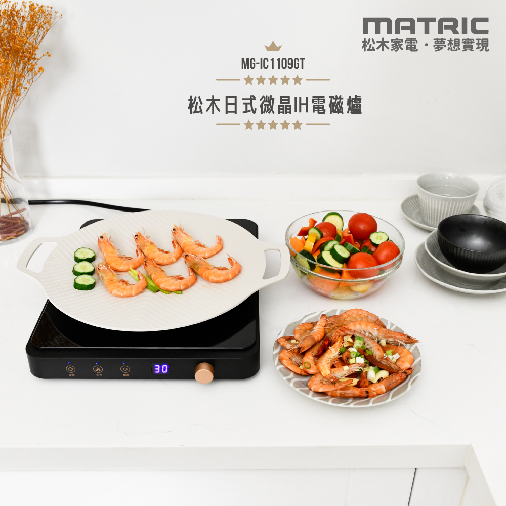 MG-IC1109GT+1